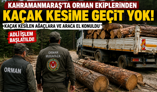 Kahramanmaraş'ta Kaçak Ağaç Kesimine Operasyon!