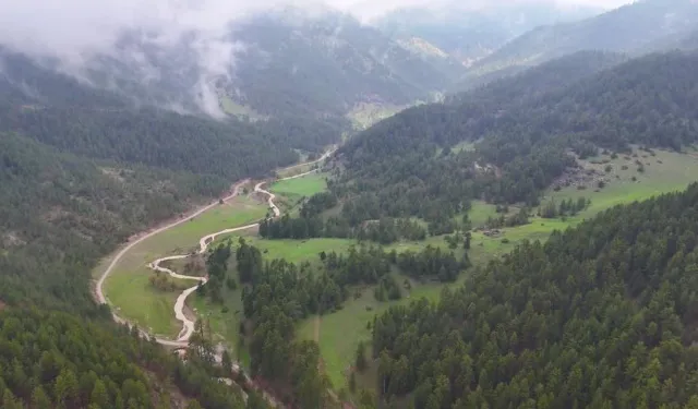 Kahramanmaraş'ın Doğal Mirası Geben Vadisi İçin Yeni Müdürlük Kuruldu
