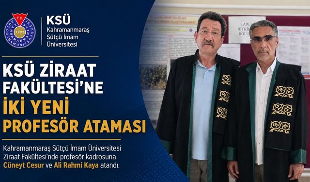 Kahramanmaraş Sütçü İmam Üniversitesi'nden Yeni Akademik Atama