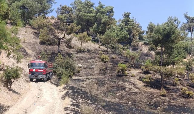 Kahramanmaraş Kılavuzlu’da Orman Yangını Alarmı: Alevler Kontrol Altında