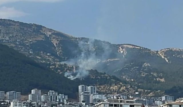 Kahramanmaraş’ta orman yangını kontrol altına alındı