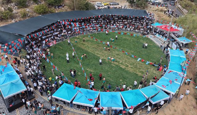 20 Yıl Sonra Kertmen’de Er Meydanı Yeniden Kuruldu: Başpehlivanlar Belli Oldu