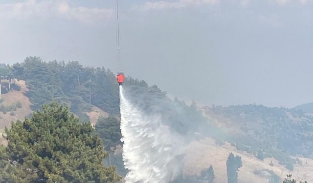 Kahramanmaraş’ta orman yangını: Söndürme çalışmaları sürüyor