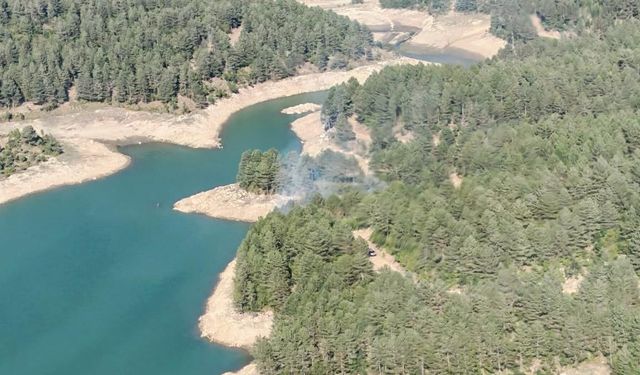 Kahramanmaraş’ta peş peşe iki orman yangını: 5 helikopter havalandı