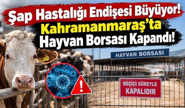 Şap Hastalığı Endişesi Büyüyor! Kahramanmaraş’ta Hayvan Borsası Kapandı!