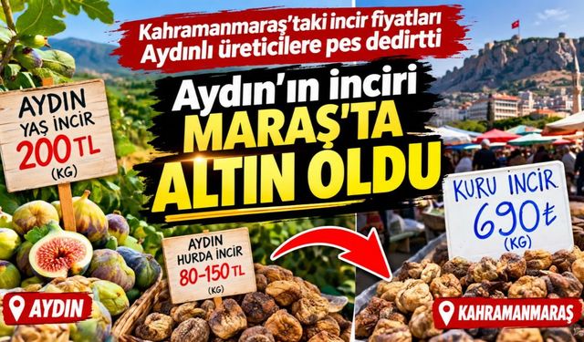 Kahramanmaraş'taki incir fiyatları Aydınlı üreticilere pes dedirtti! Aydın'ın inciri Maraş'ta altın oldu
