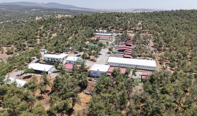 Kahramanmaraş’ta 5 binden fazla sokak hayvanına güvenli yaşam