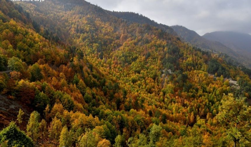 Kahramanmaraş'ta sonbaharın güzelliği kameralara yansıdı!