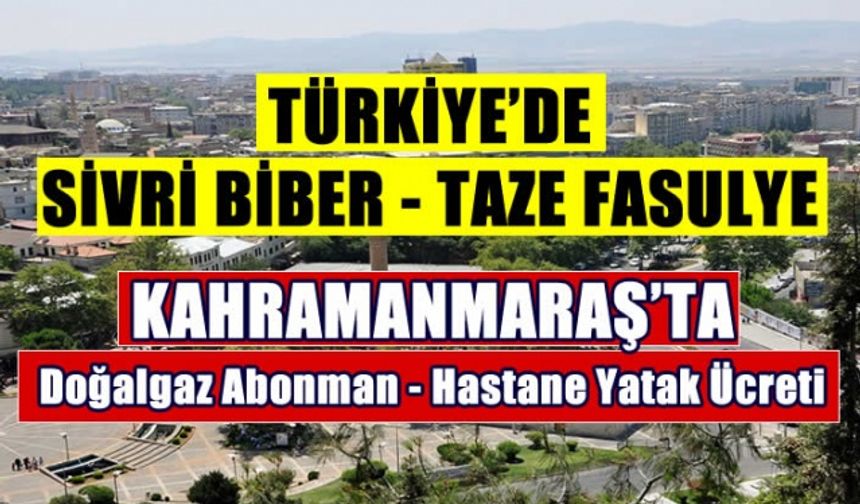 Türkiye ve Kahramanmaraş TÜİK İl Sunumunda İlginç istatistik