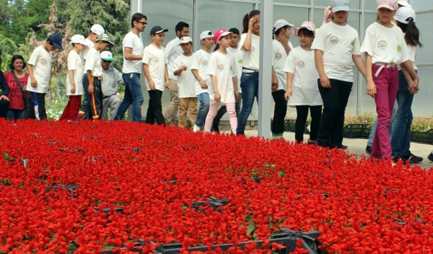 Çocuklar tarımı serada öğrendi