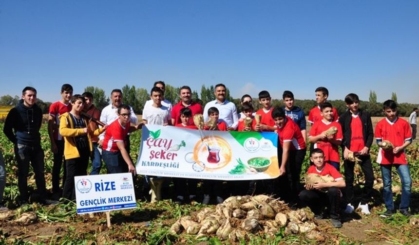 Rizeli Gençler K.Maraş'ta Horon Eşliğinde Pancar Söktü!