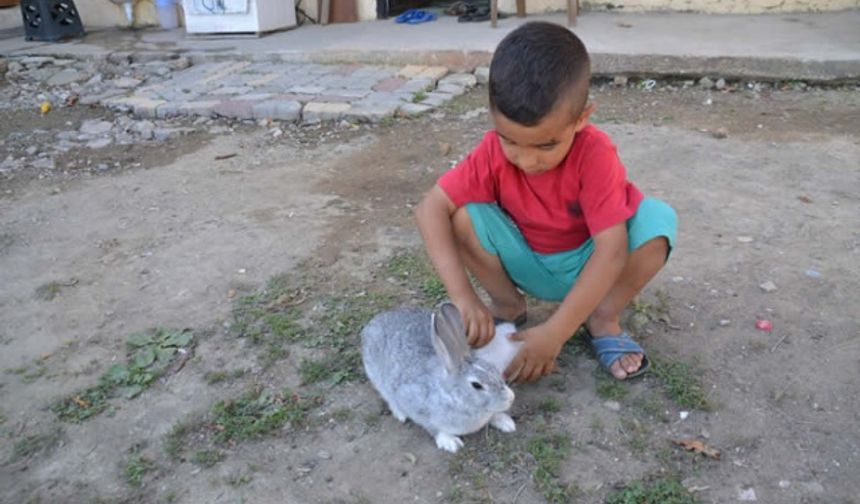 Kahramanmaraş'ta küçük çocukla köpeğin gülümseten oyunu