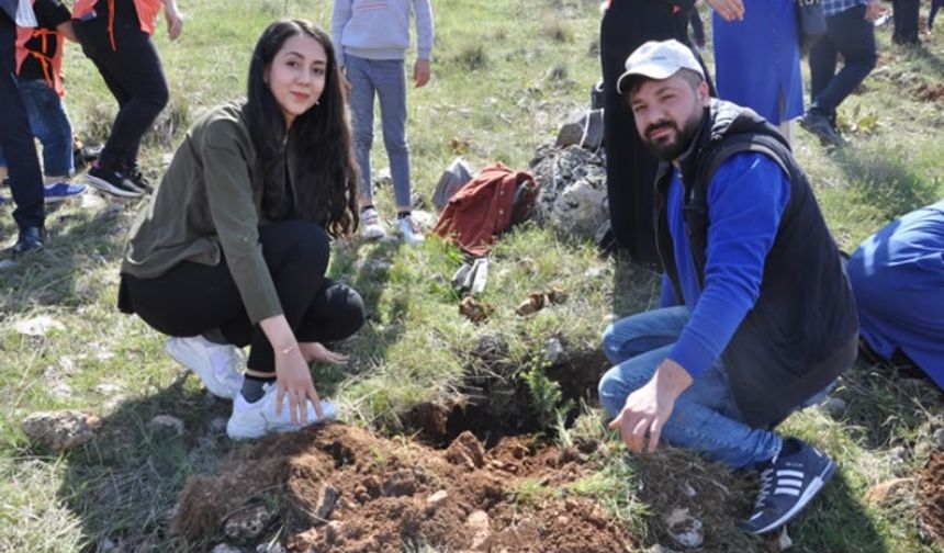 Aday öğretmenler, fidan dikti