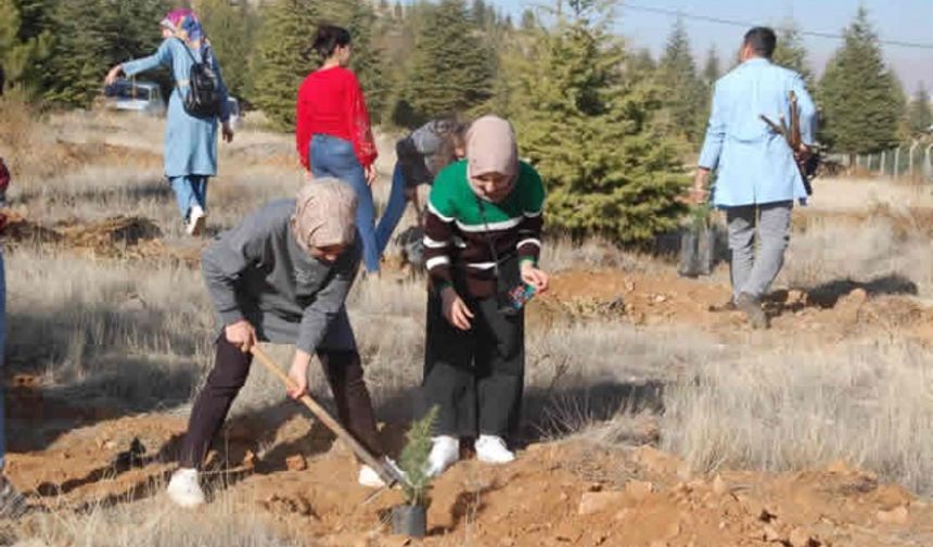 Afşin'de üniversite öğrencileri bin 500 fidan dikti