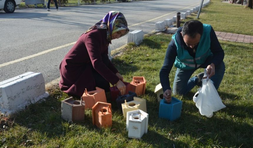 Kahramanmaraş Elbistan'da ağaçlara kuş yuvası konuluyor