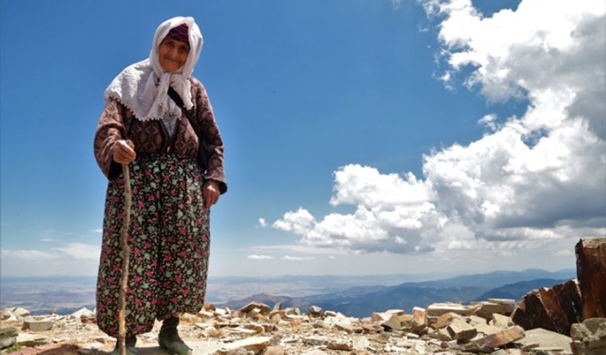 Uludaz Tepesi'ndeki uğur böceklerine vatandaş ilgisi