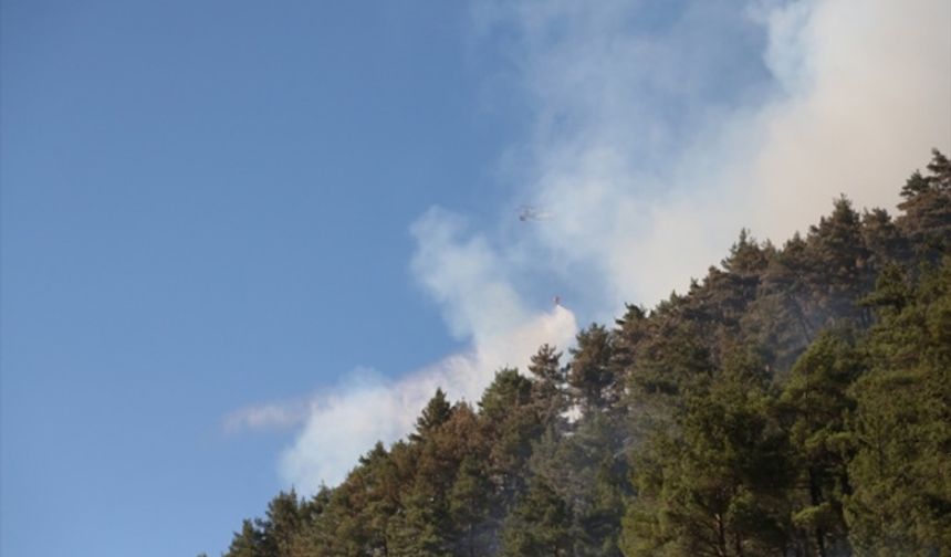 Kahramanmaraş Fırnız'da çıkan orman yangını kontrol altına alındı