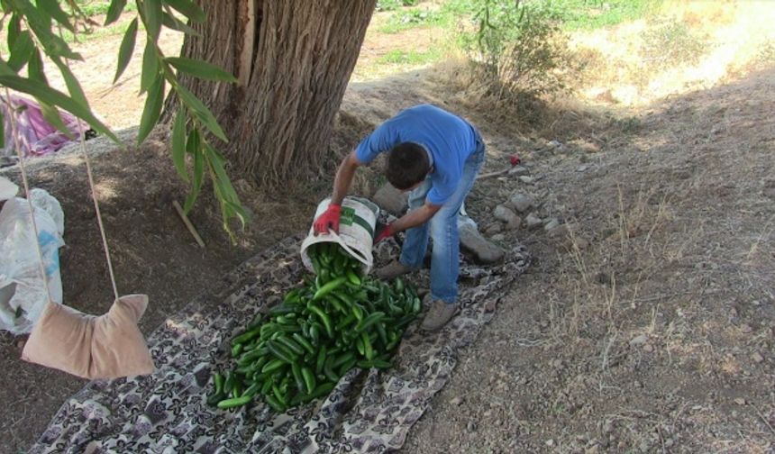 Kahramanmaraş'ta hayırseverden 3 çocuk babasına yardım!