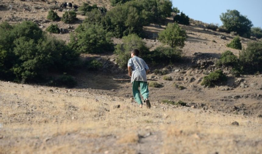 Kahramanmaraş'ta 6 küçükbaş hayvan telef oldu!