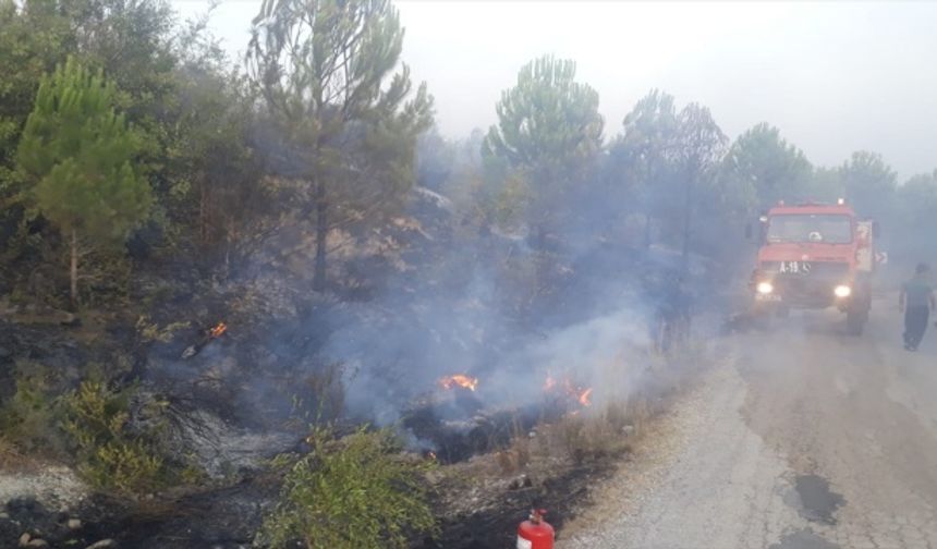 Kahramanmaraş'ta orman yangınında 14 dönüm alan zarar gördü!