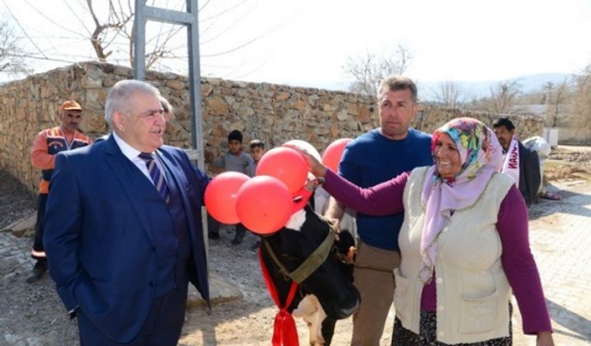 Başbakan’dan istediği inekleri teslim aldı