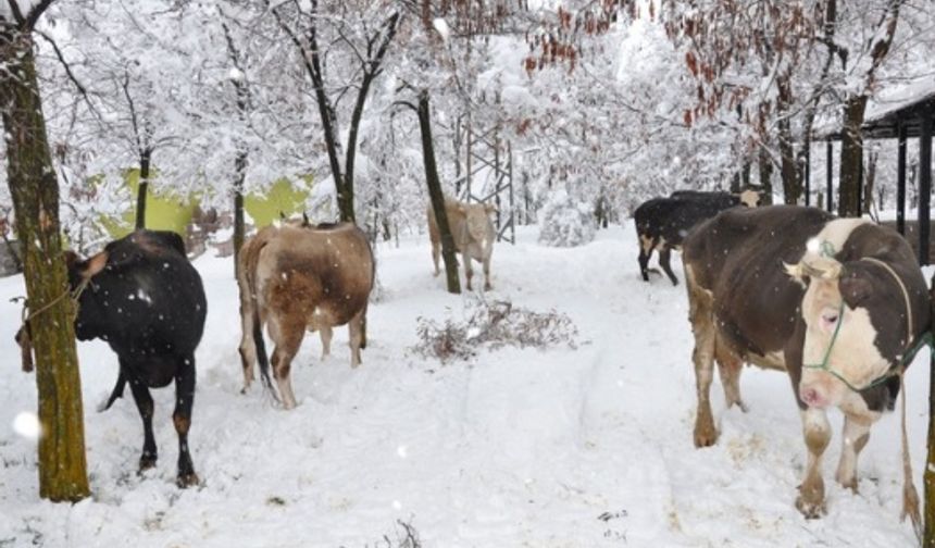 Kahramanmaraş’ta 200 yıldır süren gelenek