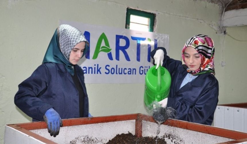 Bileziklerini satıp, organik solucan gübresi üretimine başladılar