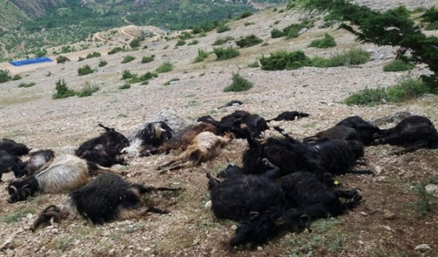 Kahramanmaraş’ta yıldırım faciası