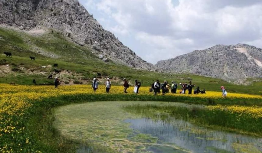 Berit Dağcılık'ta doğa yürüyüşü! Doğayla buluşmaya var mısınız?