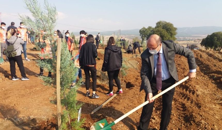 Kahramanmaraş'ta 156 bin 200 fidan toprakla buluştu!