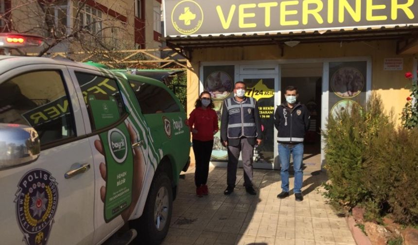 Kahramanmaraş'ta doğa ve hayvanları koruma polisi sokak hayvanları için göreve çıktılar!