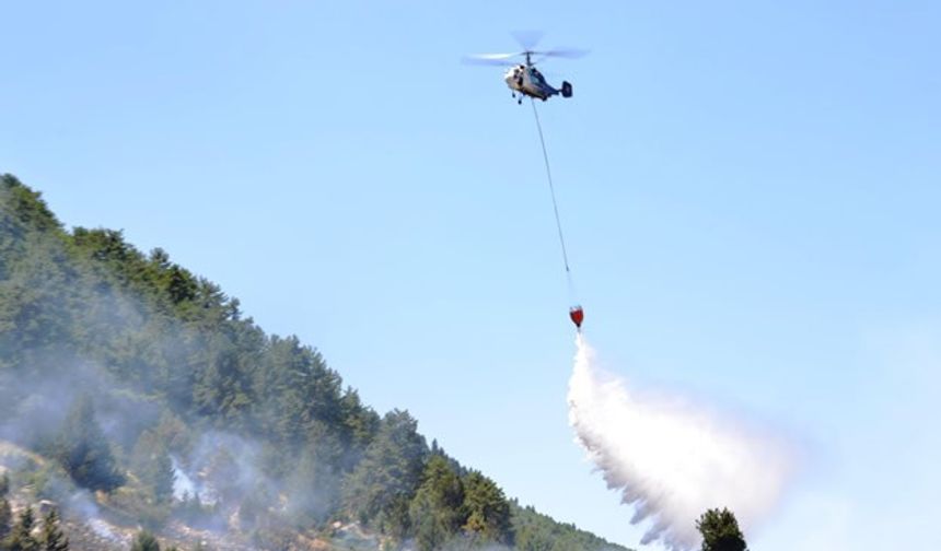 Kahramanmaraş'ta orman yangını