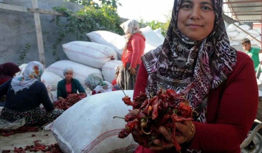 700 liralık mikrokredi yaşamını değiştirdi