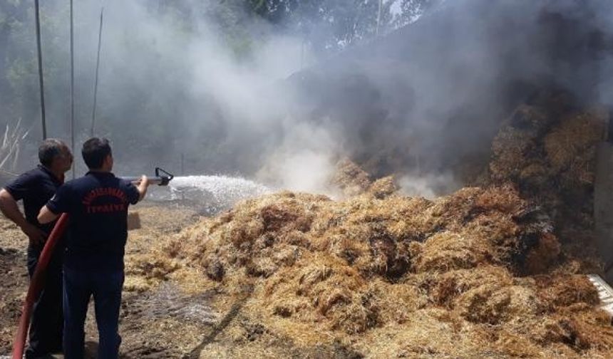 Kahramanmaraş'ta samanlıkta çıkan yangın büyük panik yarattı