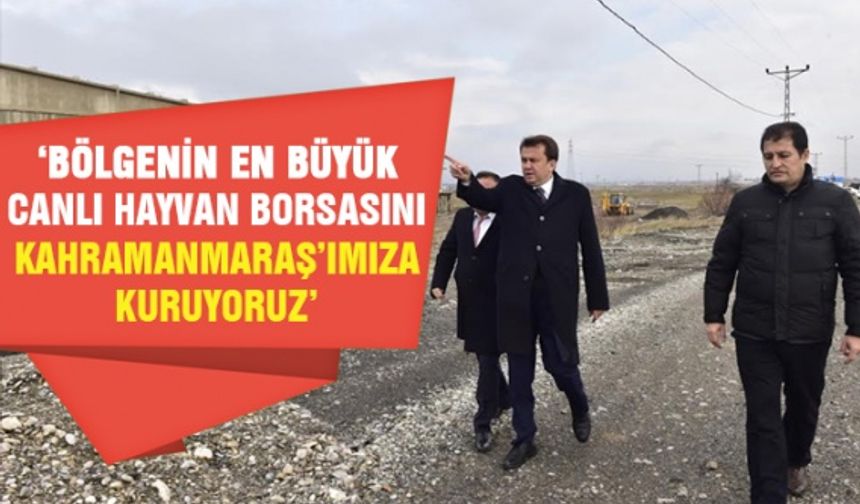 Kahramanmaraş Büyükşehir Başkanı Erkoç Canlı Hayvan Borsası inşaatını inceledi