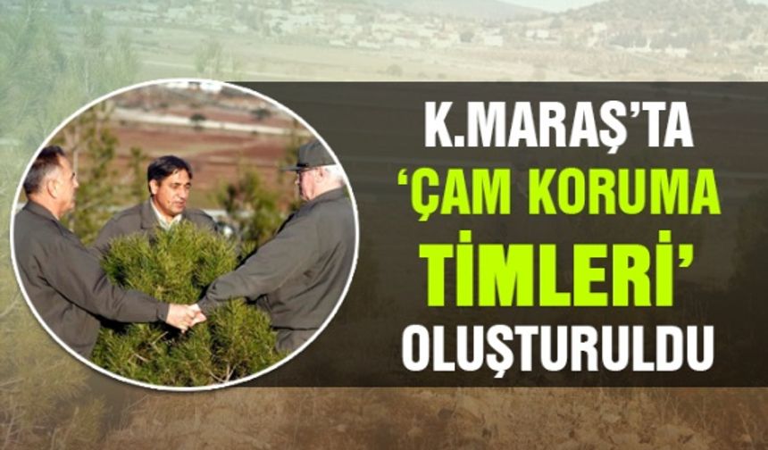 Kahramanmaraş’ta yıl başı öncesi ‘Çam Koruma Timi’ oluşturuldu