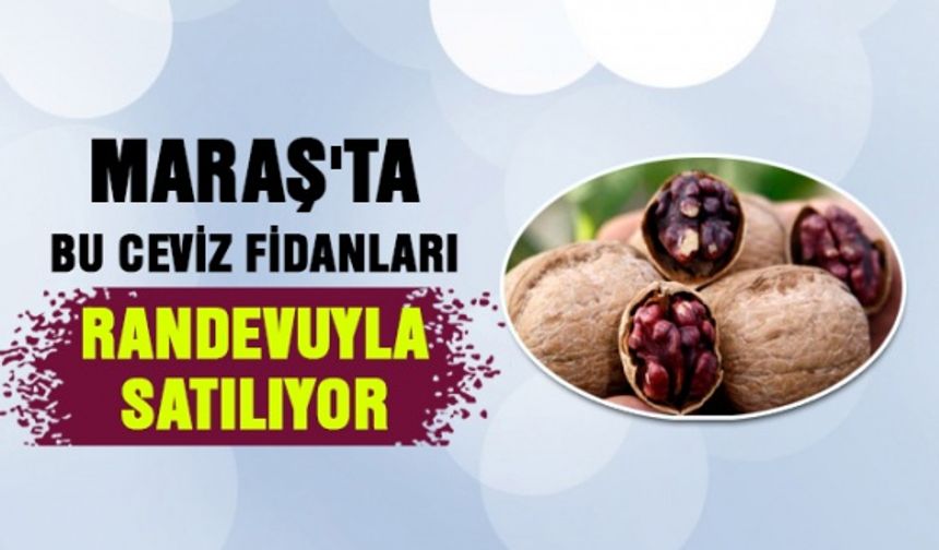 Maraş'ta ceviz fidanları randevuyla satılıyor