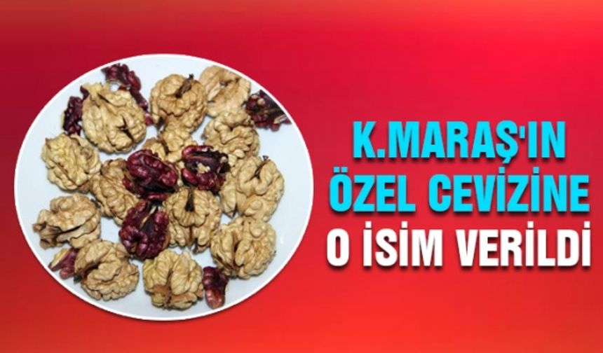 Kahramanmaraş'ın o cevizine '15 Temmuz' adı verildi