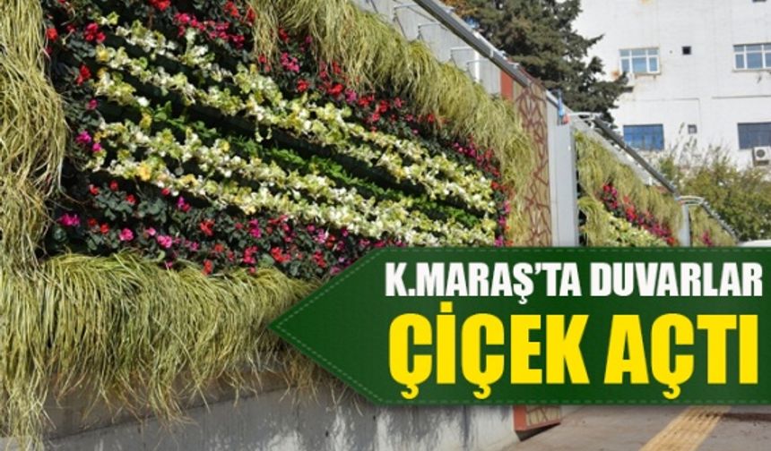 Kahramanmaraş'ta duvarlar çiçek açtı