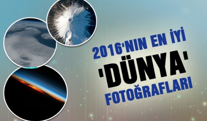 2016'nın en iyi 'Dünya' fotoğrafları