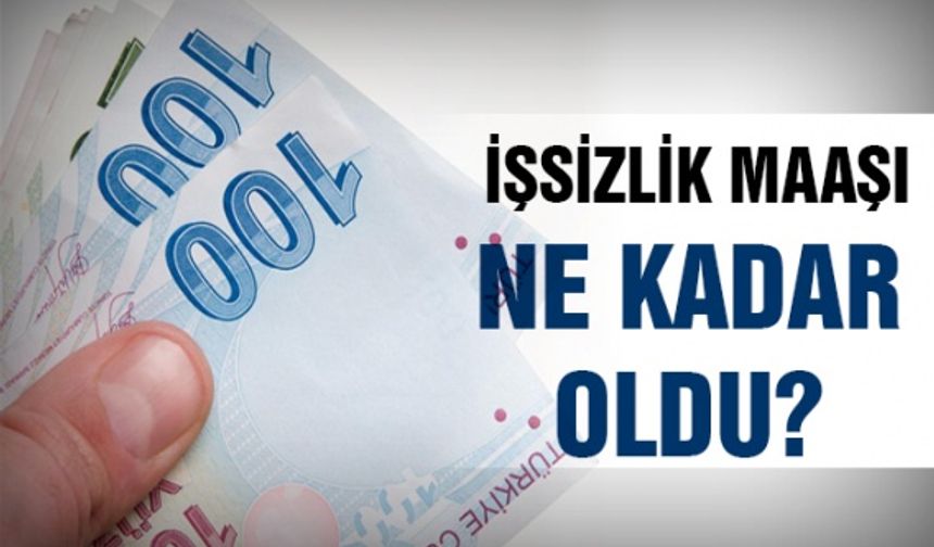 İşsizlik maaşı ne kadar oldu?