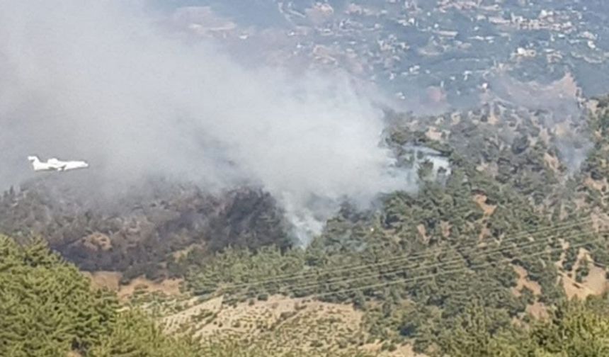 Kahramanmaraş’ta orman yangını