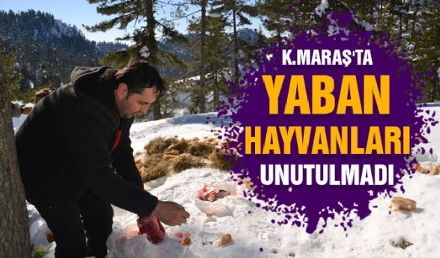 Kahramanmaraş'ta yaban hayvanları için doğaya yem bırakıldı