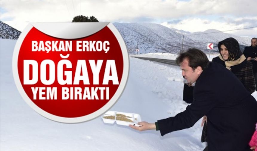 Başkanı Erkoç yaban hayvanları için doğaya yem bıraktı