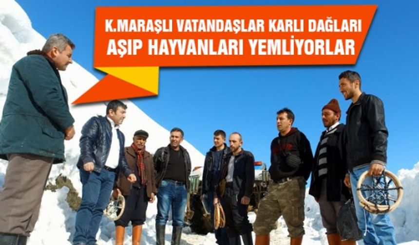 Kahramanmaraşlı vatandaşlar karlı dağları aşıp hayvanları yemliyorlar