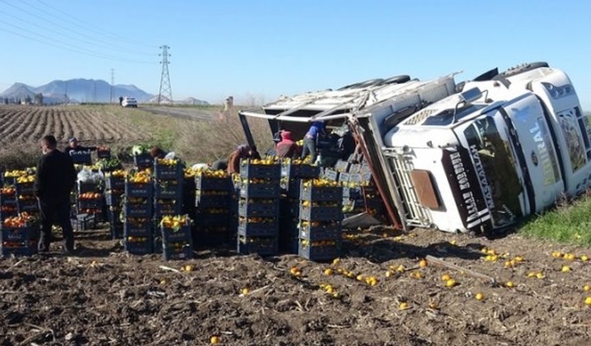 Adana'da meyve sebze yüklü kamyon devrildi: 1 yaralı