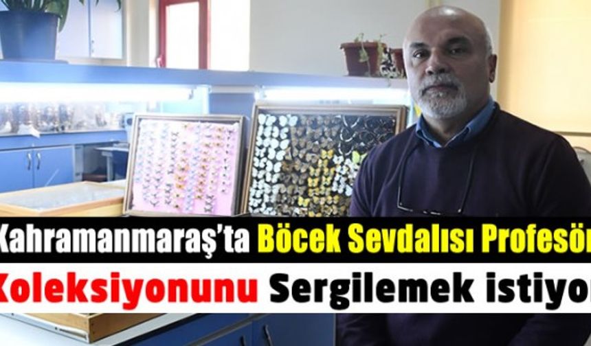 Prof. Dr. Mahmut Murat Aslan 4 bin türlük böcek koleksiyonunu müzede sergilemek istiyor