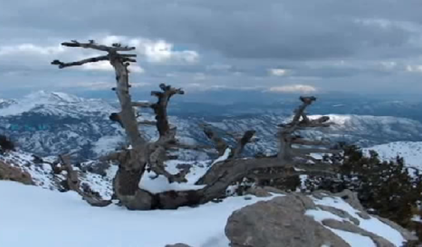 Kahramanmaraş'tan Doğa Manzaraları