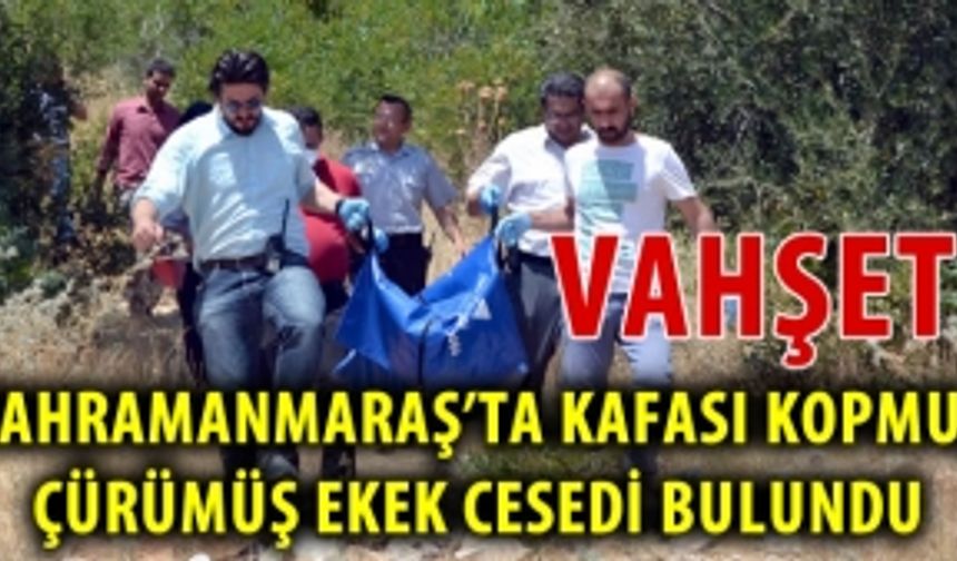 Kahramanmaraş'ta erkek cesedi bulundu