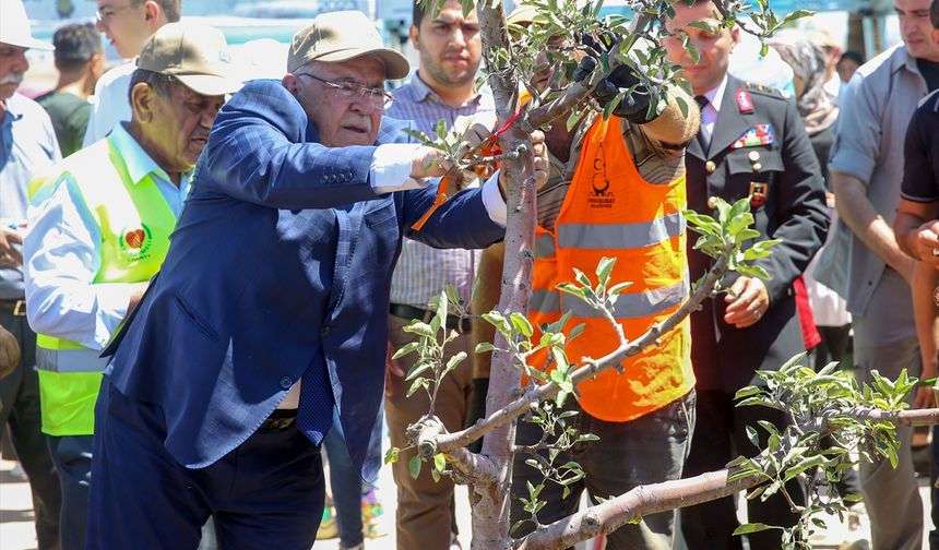 15 Temmuz şehitlerinin isimleri, Kahramanmaraş'ta EXPO 2023 alanındaki hatıra ormanında yaşatılacak!